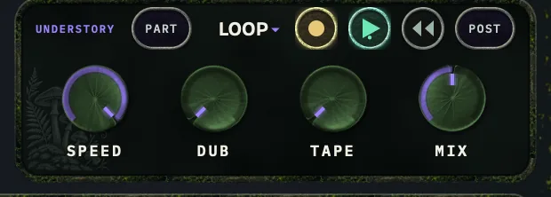 Sylvaris UNDERSTORY card in LOOP mode, mid-overdub: REC, PLAY and REV transport chips above speed, dub, tape and mix knobs.